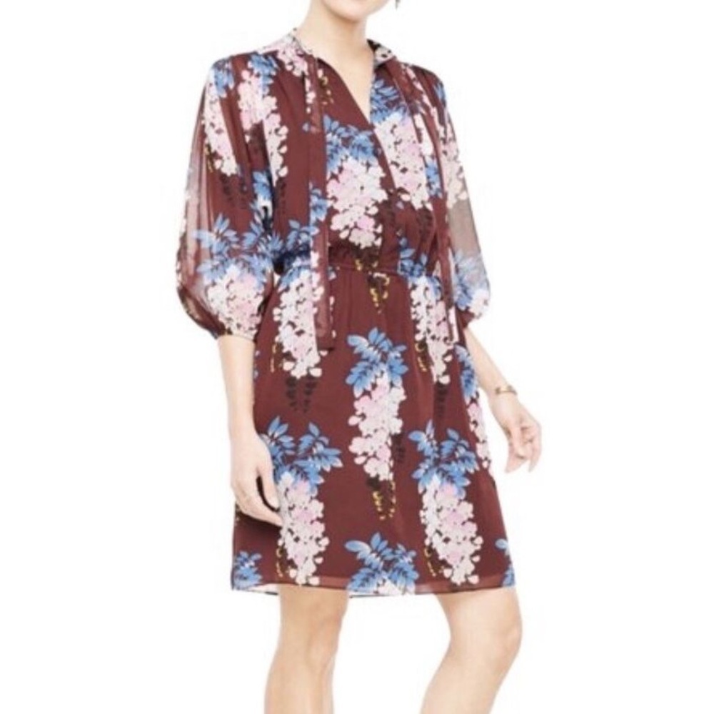 Ann Taylor Chic Deep Burgundy Sheer Overlay Garden Floral Dress Size Small S